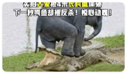 华为广告投放素材驳回示例 华为广告投放素材驳回示例