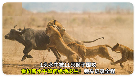 华为广告投放素材通过示例 华为广告投放素材通过示例